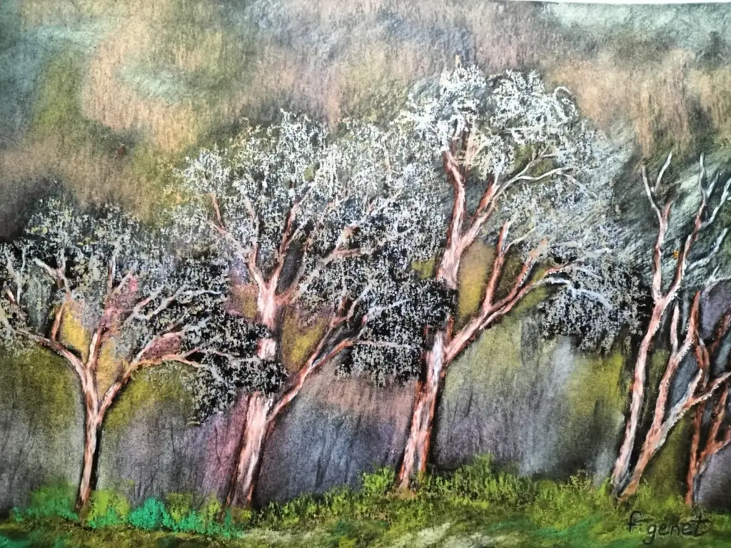 FORET FEERIQUE