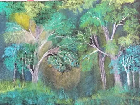 PETITE FORET AMAZONIENNE