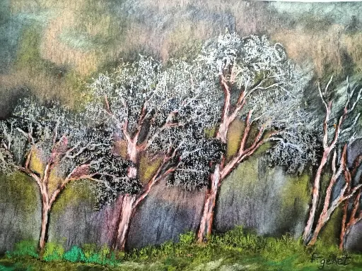 FORET FEERIQUE